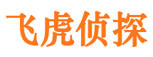 河源市私家侦探